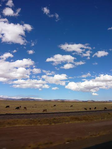 自分史上一番過酷なツアー！！　ペルー８日間③