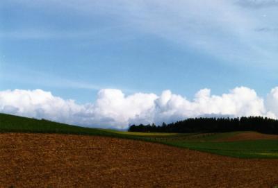 美瑛・１９９２夏