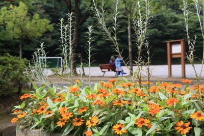 お散歩：町田　野津田公園