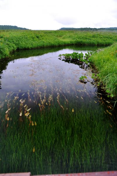 小さな北海道を楽しもう！Part.6～雨竜沼湿原5時間を歩く…の巻～