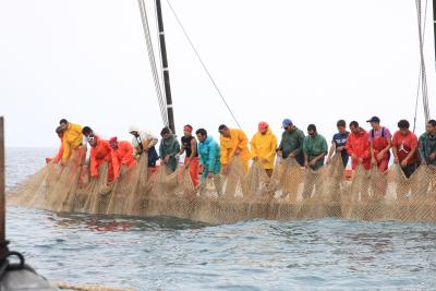 地球の島めぐり６４島目・イタリア　サンピエトロ島