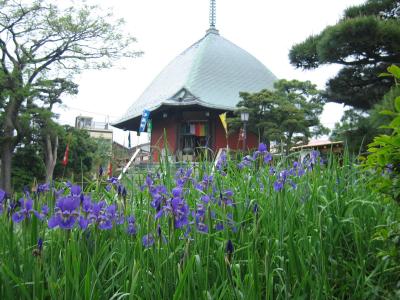 北鎌倉・小町大路，松葉ヶ谷