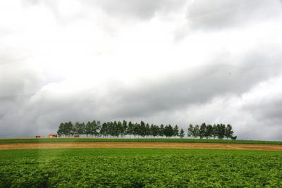 美瑛パッチワークの路をＪＲツインクルバスで一巡しました。