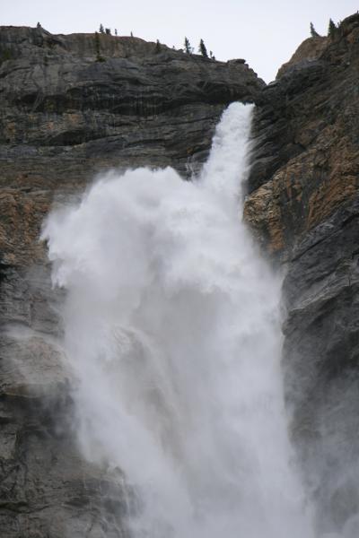 帰ってきたよ♪レイクルイーズ②ラッキー！今日から開始タカカウの滝