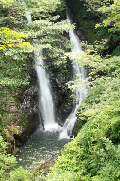 夫婦で夫婦滝へ　