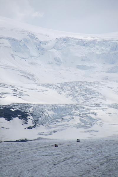 レイクルイーズからジャスパーへ②