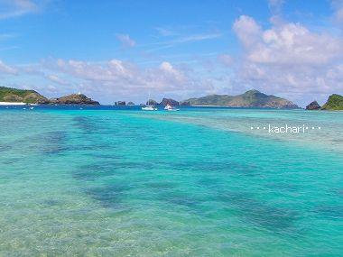 マンタシュノーケル★慶良間諸島