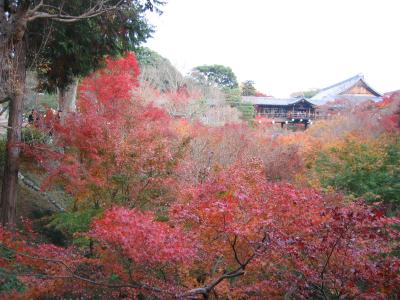 京都・残りの紅葉