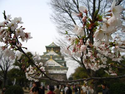 桜の大阪