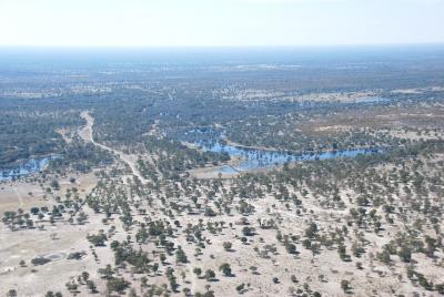 ボツワナ　オカバンゴデルタへ