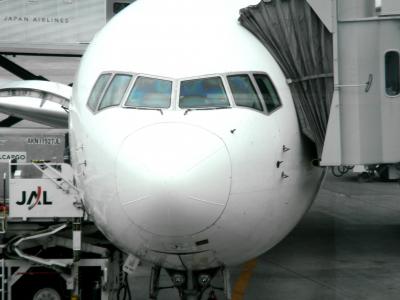 新千歳空港１２番スポットから羽田空港へ