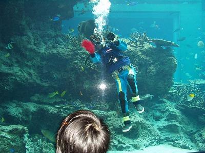 沖縄美ら島ぜいたく三昧ツアー