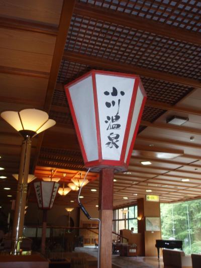 山の中の一軒宿、小川温泉元湯【ホテルおがわ】