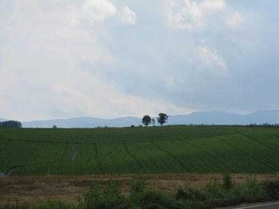 ０９年　夏の北海道家族旅行　２日目　～美瑛の丘かけあし巡り　ピカチュウとともに夜は更けて～