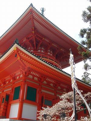 心穏やかに。。宿坊体験～高野山