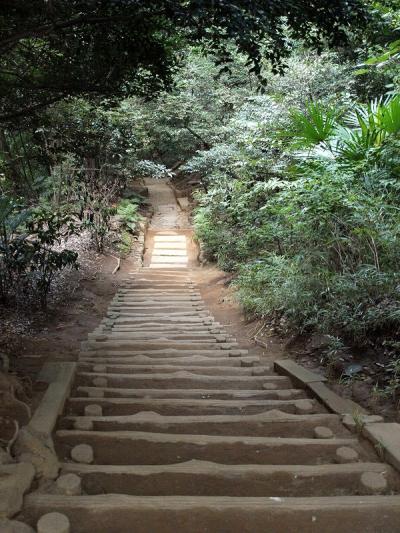 新江戸川公園　（旧細川家下屋敷庭園）