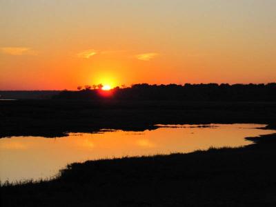 ボツワナ：チョベ国立公園の朝日