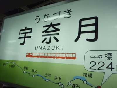 乗りたかった「黒部峡谷鉄道トロッコ電車」帰りは、う～満席！！