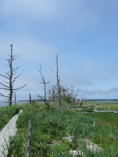 のんびり道東 ⑧　【地図に足跡を付けた気がする。野付半島】　