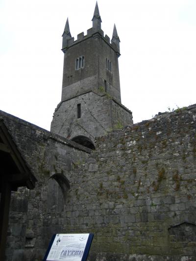 アイルランドをぐるりと一周ビール三昧の旅 (4~5日目) シャノン川→エニス