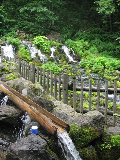 1年ぶりの北海道　　定山渓・京極・札幌編　３日目