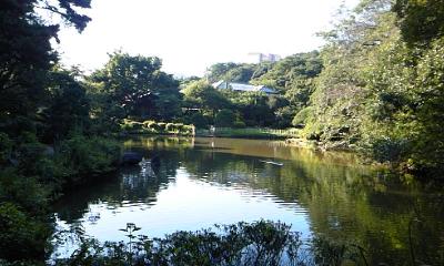 新江戸川公園