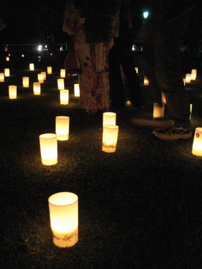 2009奈良燈花会