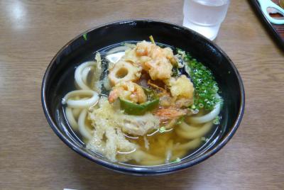 西日本パスで名物料理と列車を満喫①