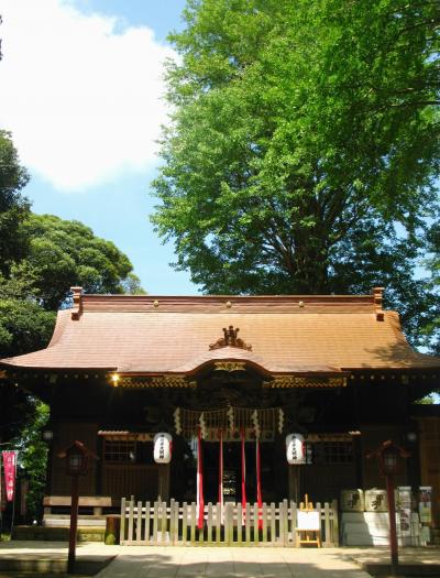 佐倉藩鎮守 麻賀多神社 に参拝　☆夏の日差しの中で