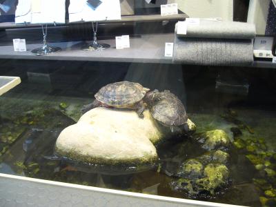 あっちこっちルクセンブルグ 『Luxembourg』 編