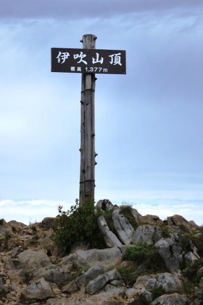 伊吹山～山室～醒ケ井～近江八幡