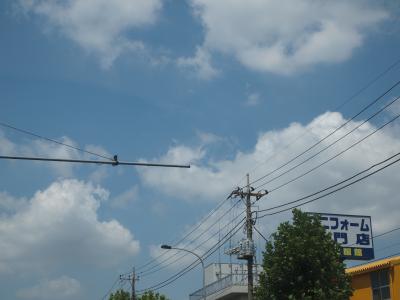 2009年夏期休暇1日目 北アルプス 薬師岳縦走