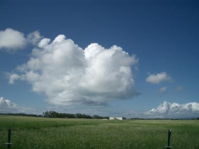 南西諸島、八重山諸島 『黒島』 編
