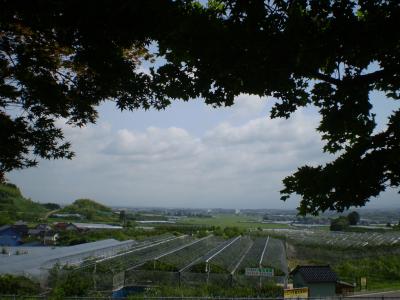 夫婦揃っての初海外は台北　①