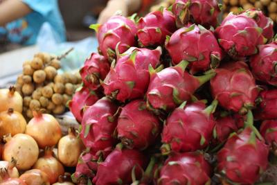 チャイナエアラインビジネスクラスで行くお一人様旅行記!アンコールワット・ホーチミン・おまけの台北!周遊の旅 その2