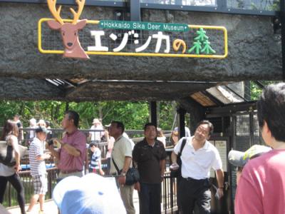 2009旭山動物園　エゾシカの森新オープン♪