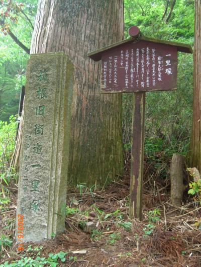 しんさん 箱根に連れて行かれる