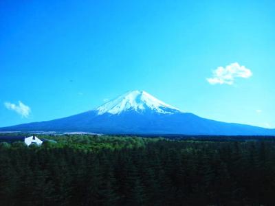 ここ最近　はまってます