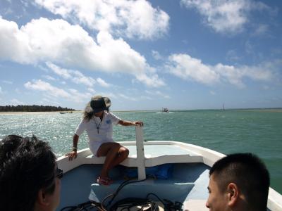 球美の島、高波、ちゃんぷる（day3）