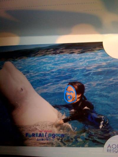 しろいるかに癒される!!