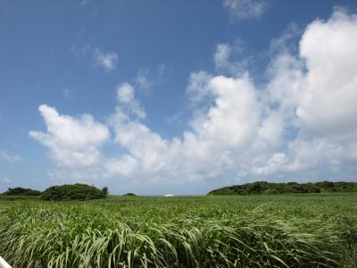 球美の島、高波、ちゃんぷる（day4）