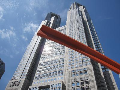 夏の【東京マラソン】完走してみました。