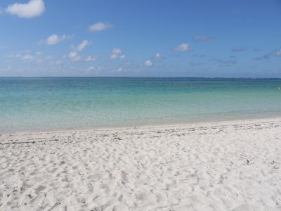 はいさい♪琉美の島！