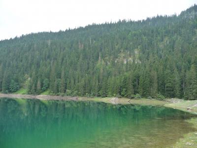 旧ユーゴスラヴィアの旅 ドゥルミトル国立公園