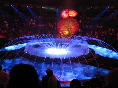 ダンナと行くアメリカ旅行③4日目 Anniversary dinner at Picasso