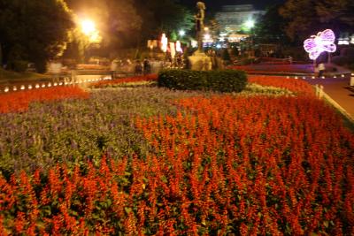 3園共通年間ﾊﾟｽﾎﾟｰﾄ【３】　広島市植物公園　（夜編）