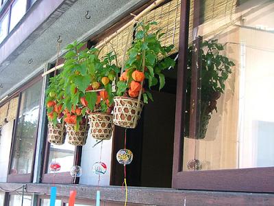 四万・沢渡なんにもしない旅(1)