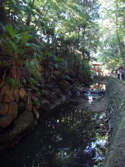 等々力渓谷を歩く