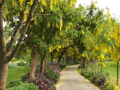 バンデューセン公園
