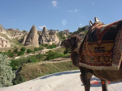 08年 トルコ② 目的果たせず。。カッパドキア編